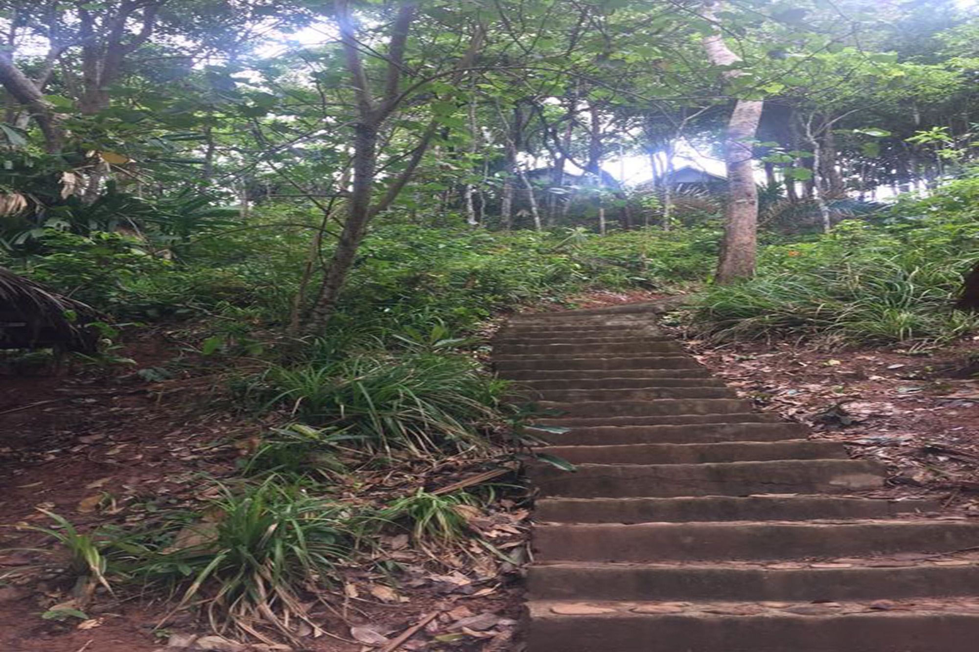 Resort Kohjum Freedom 3*