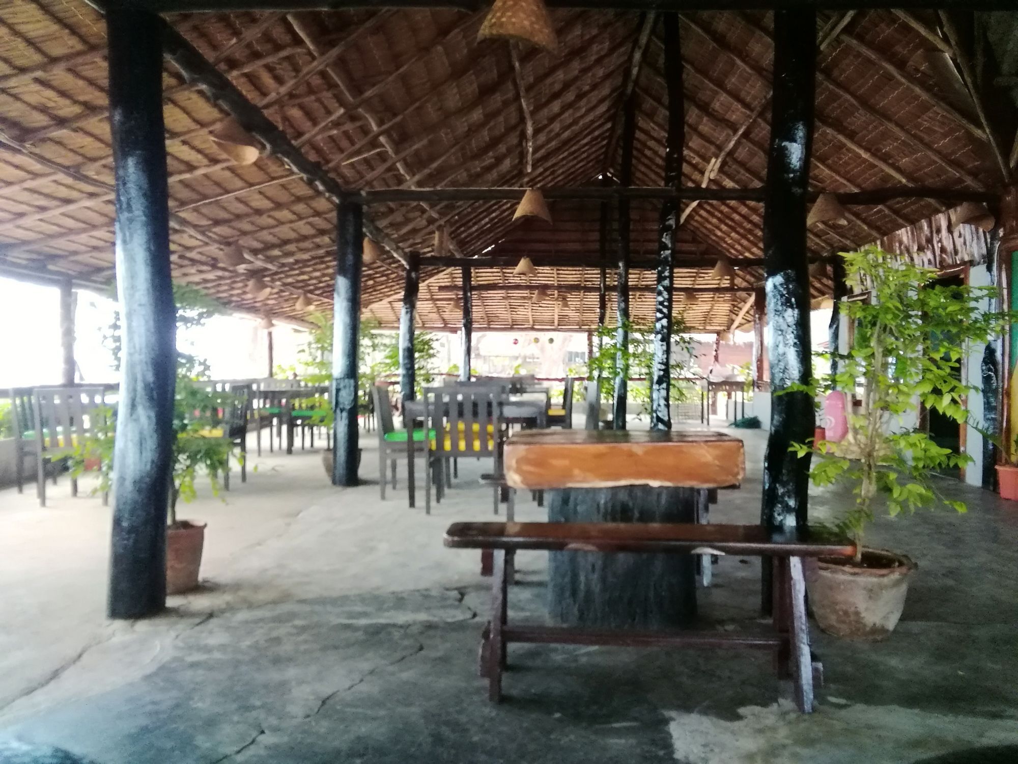 Kohjum Freedom 3*
