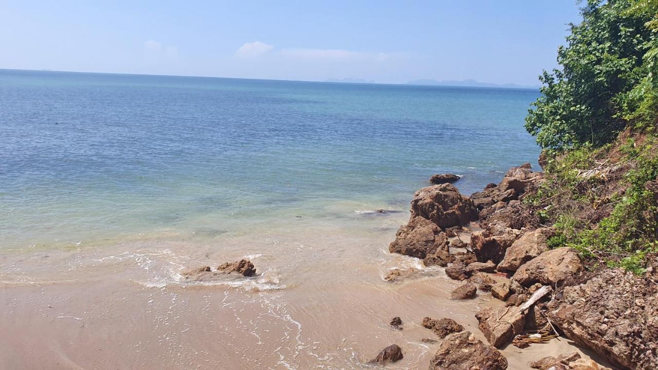 Aosi View