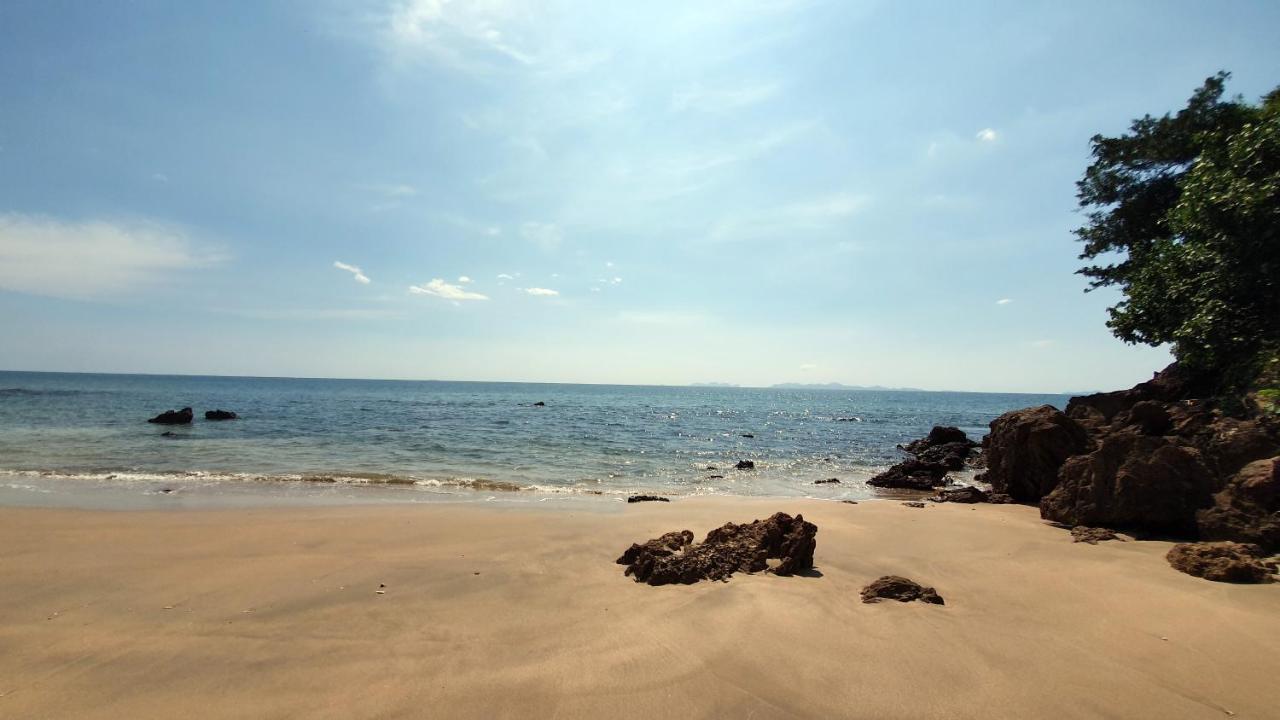 Aosi View