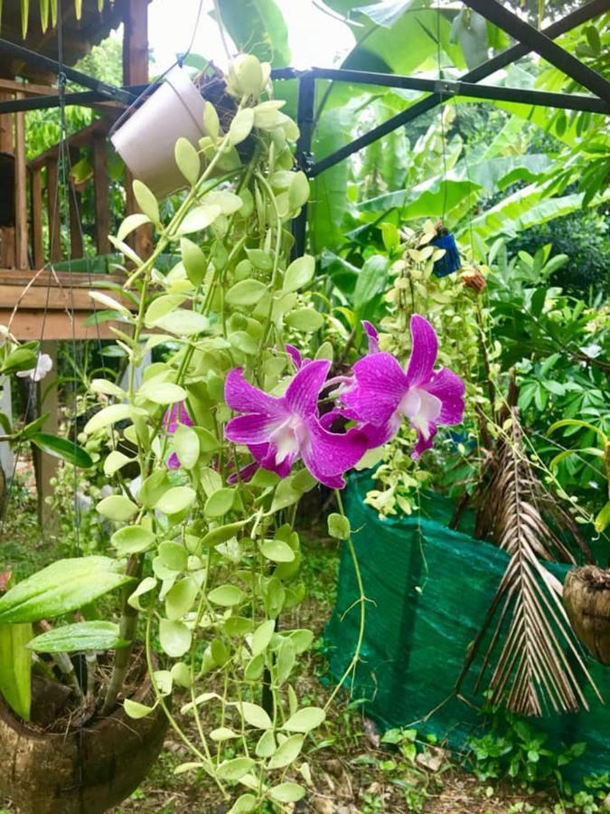 Lanta A Toi House Guest house