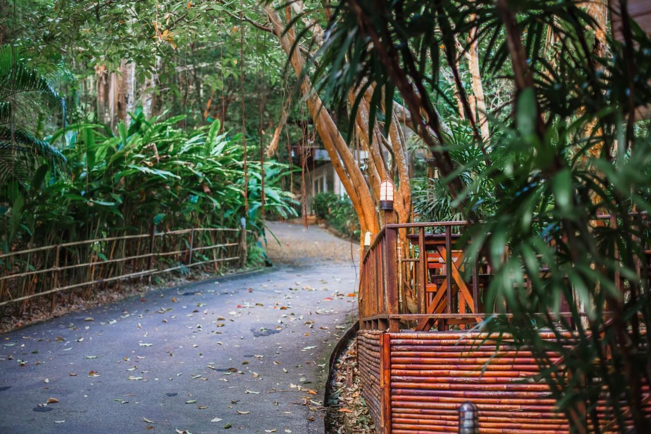 Resort The Vatika And