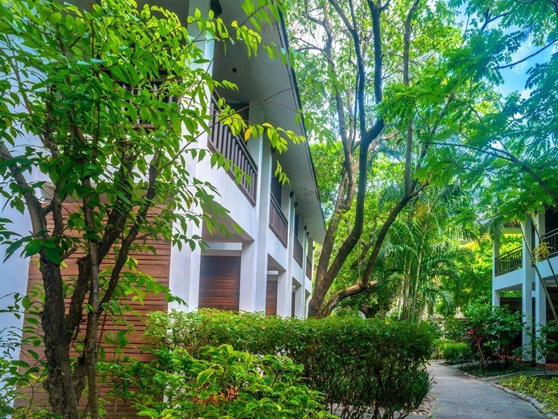 Resort The Hive Lamai Beach (Koh Samui)