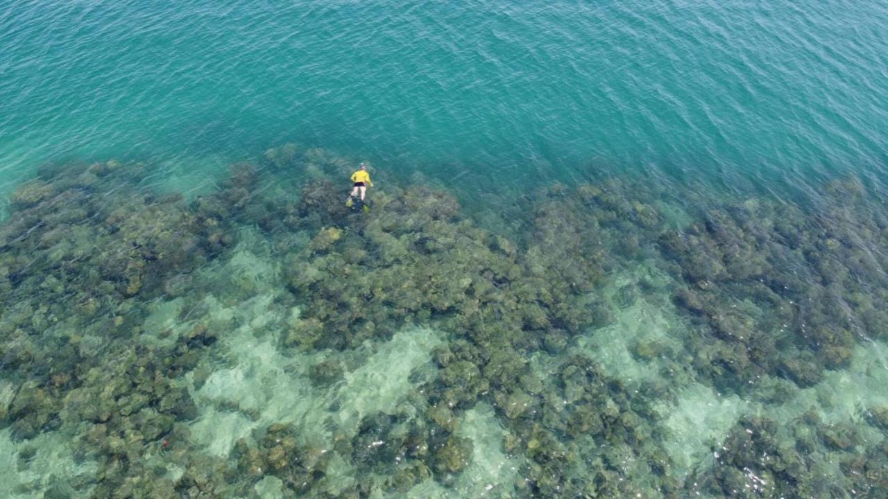Kaimuk Thong Koh Ngai