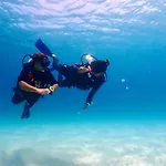 The Dearly Koh Tao Hostel-Padi 5 Star Dive Resort