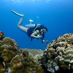 The Dearly Koh Tao Hostel-Padi 5 Star Dive Resort