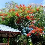 Koh Tao Tropicana Resort