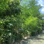 Baan Longhaad