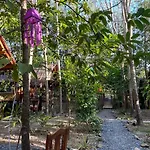 Dahla Lanta Hut