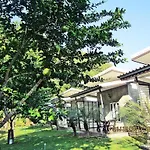 V Valley Resort