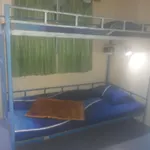 Phi Phi Backpacker