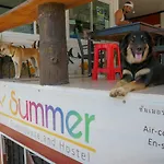 Summer Guesthouse And Hostel