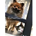 Kitty Guesthouse