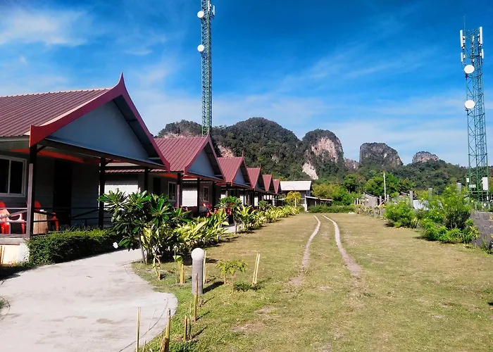 Phi Phi Coralbay