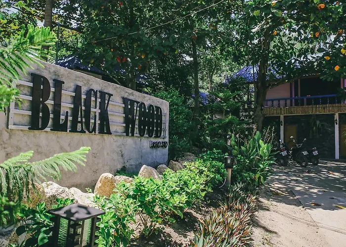 Black Wood Hostel