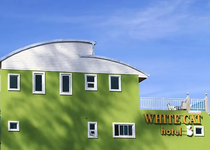 White Cat Hotel
