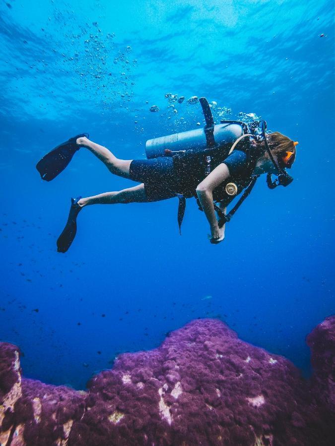 Dpm Diving & Bar Inn