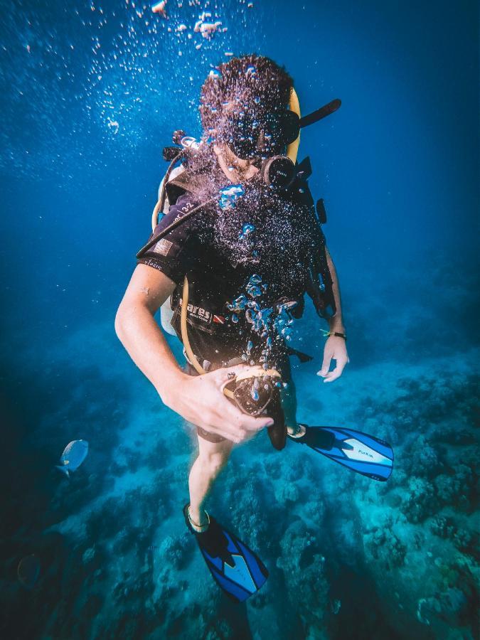 Dpm Diving & Bar Inn Koh Tao