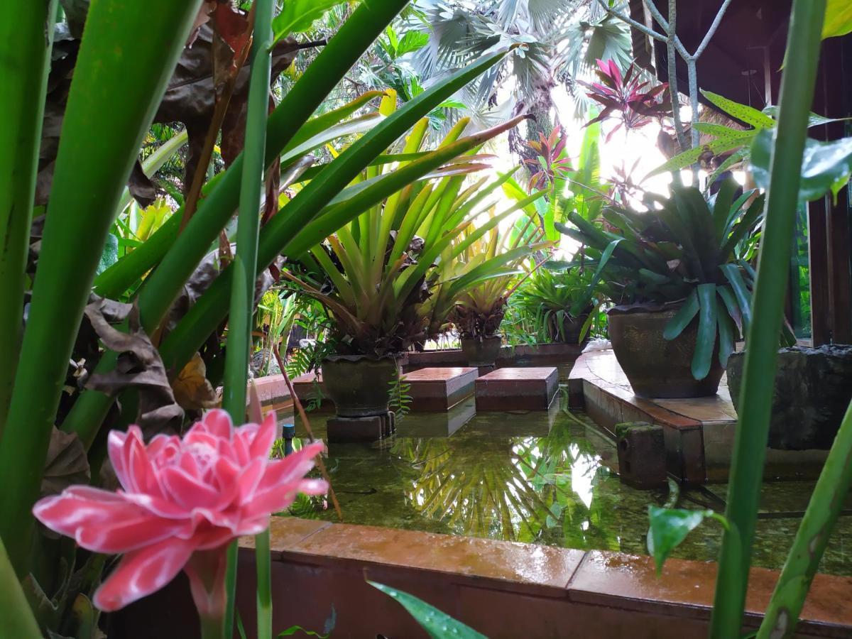 Relax Eco Life Center - Guest house