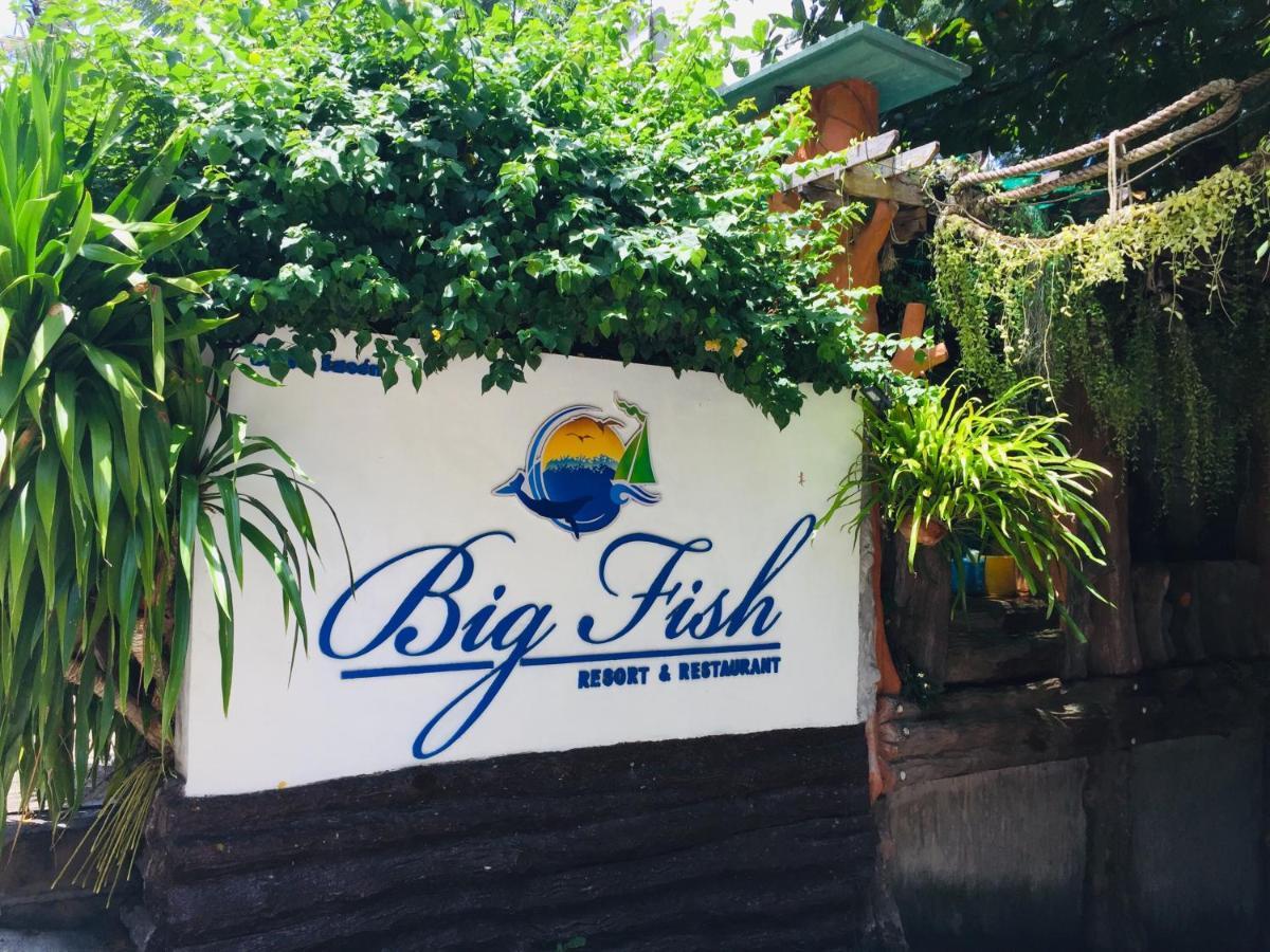 Big Fish
