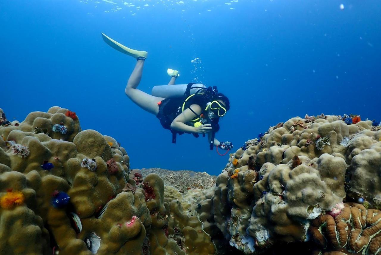 Hostel The Dearly Hostel-padi 5 Star Dive Koh Tao