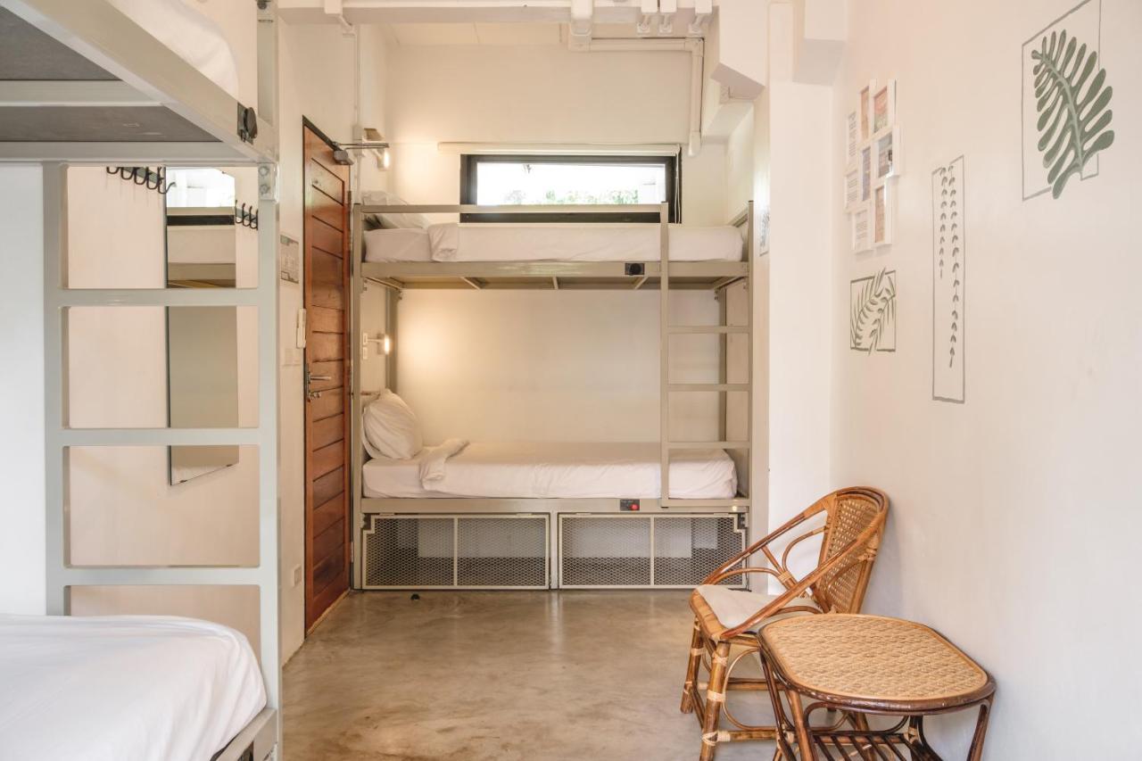 The Dearly Hostel-padi 5 Star Dive