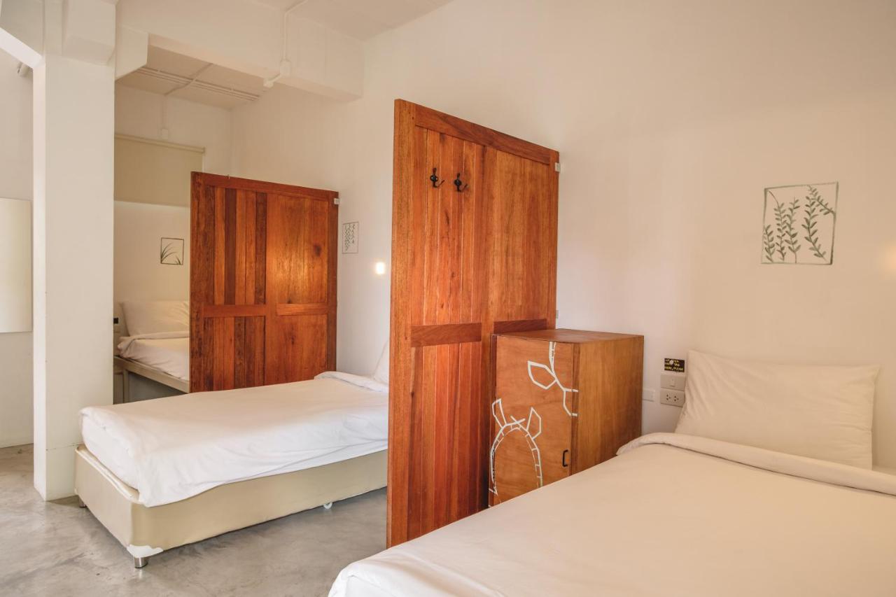 Hostel The Dearly Hostel-padi 5 Star Dive *