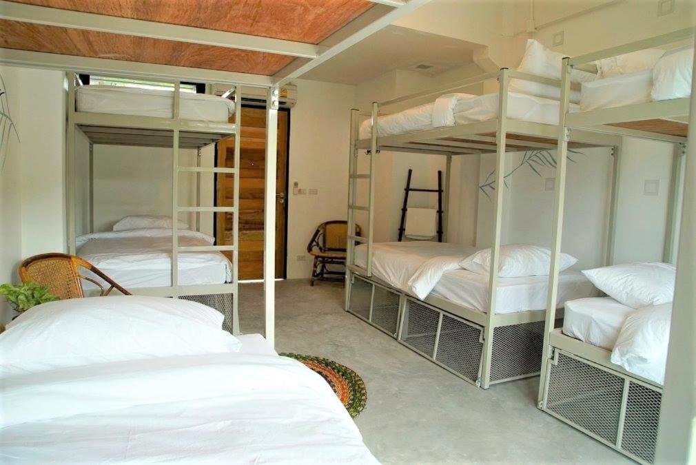 The Dearly Hostel-padi 5 Star Dive *