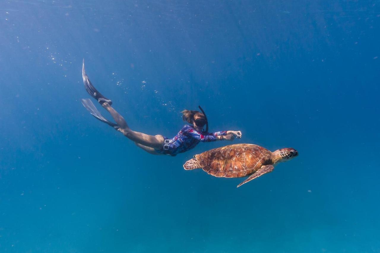New Heaven Dive School And Koh Tao