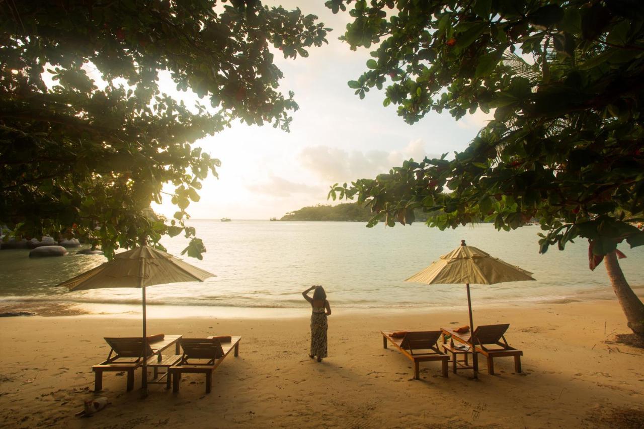 Relax Freedom Resort