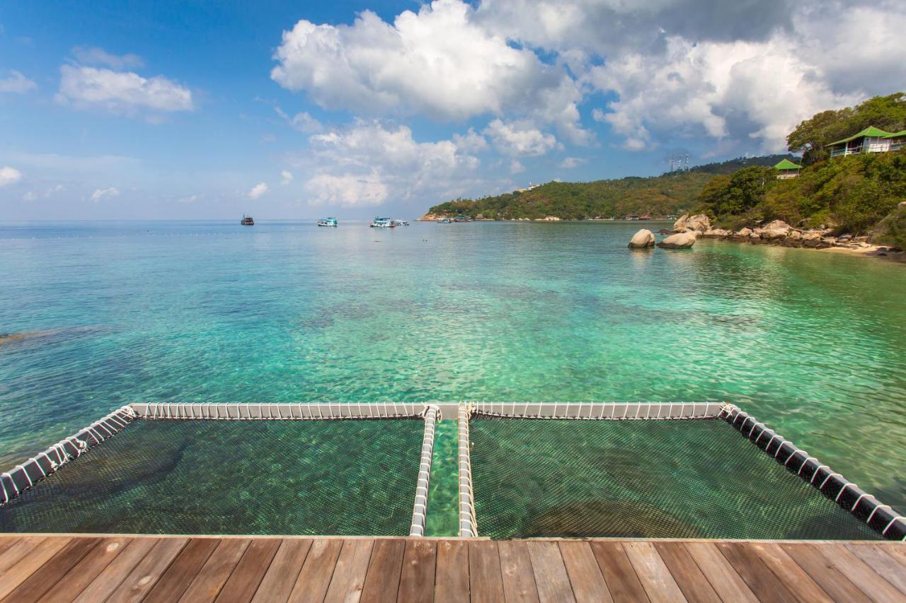 Relax Freedom Koh Tao