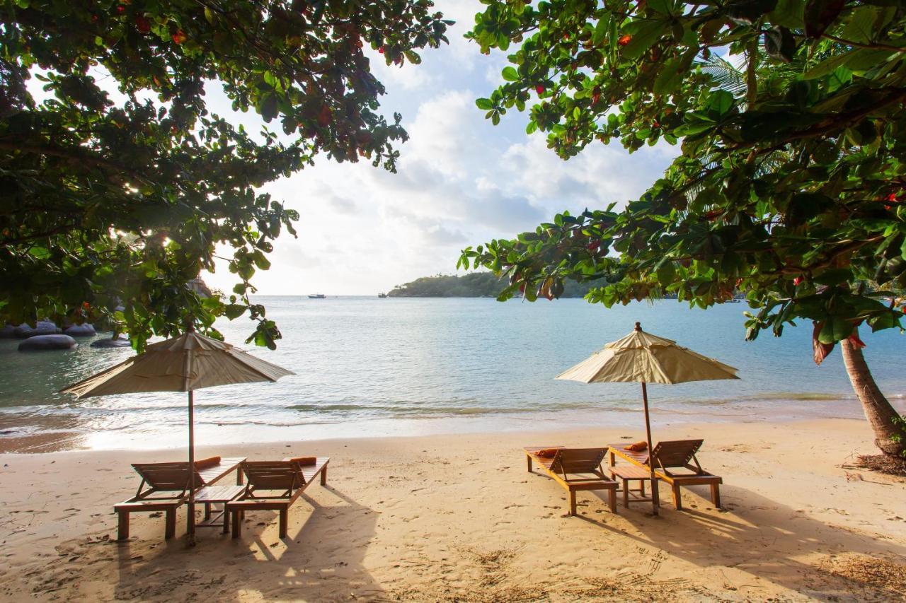 Relax Freedom Resort Koh Tao