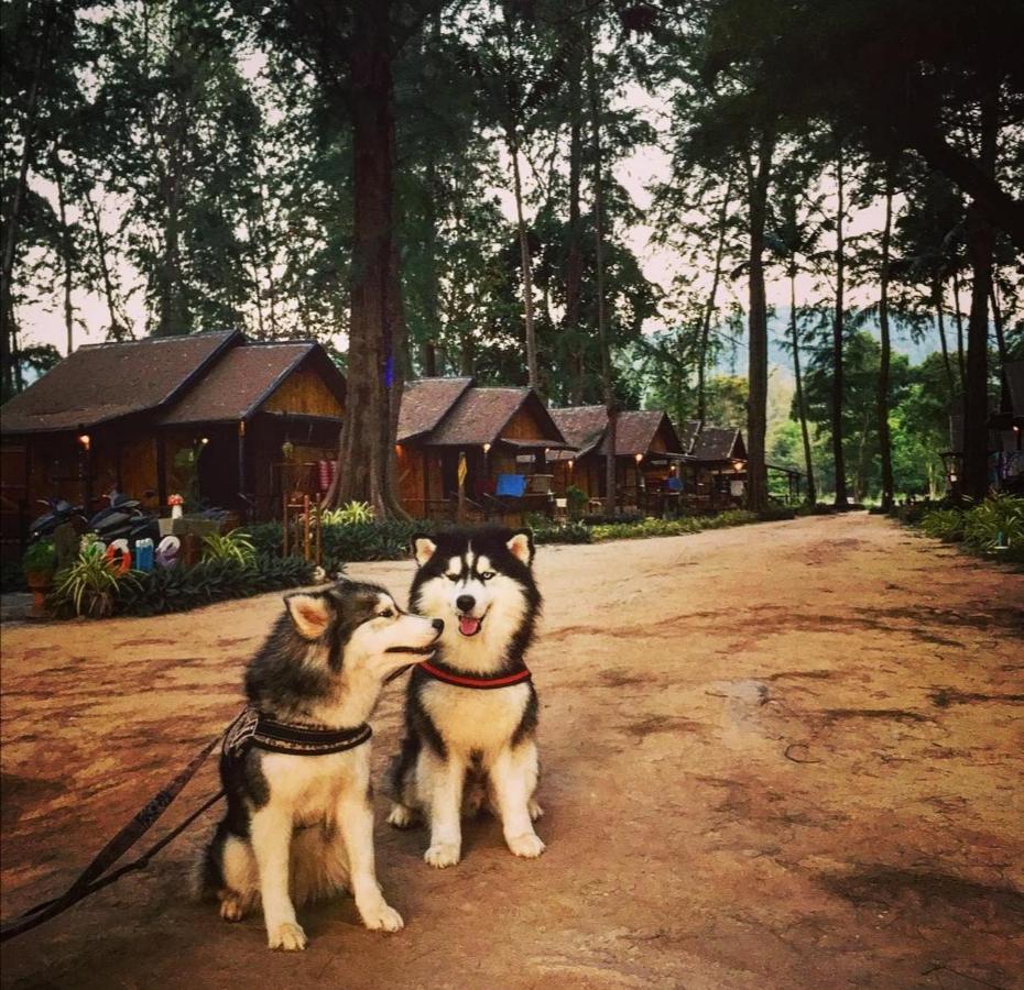 Eco Lanta Hideaway 3*