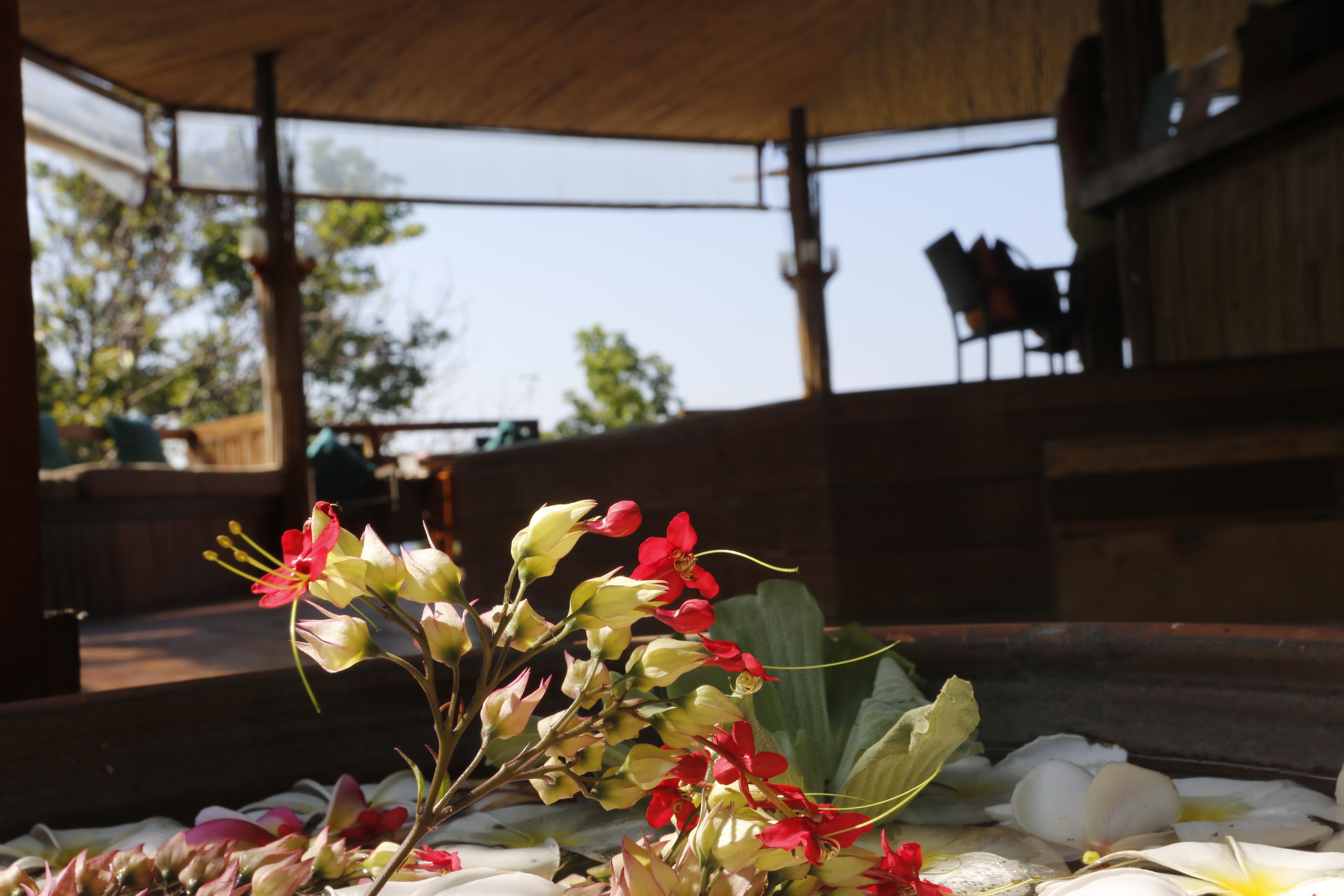 Hillside Resort Koh Tao