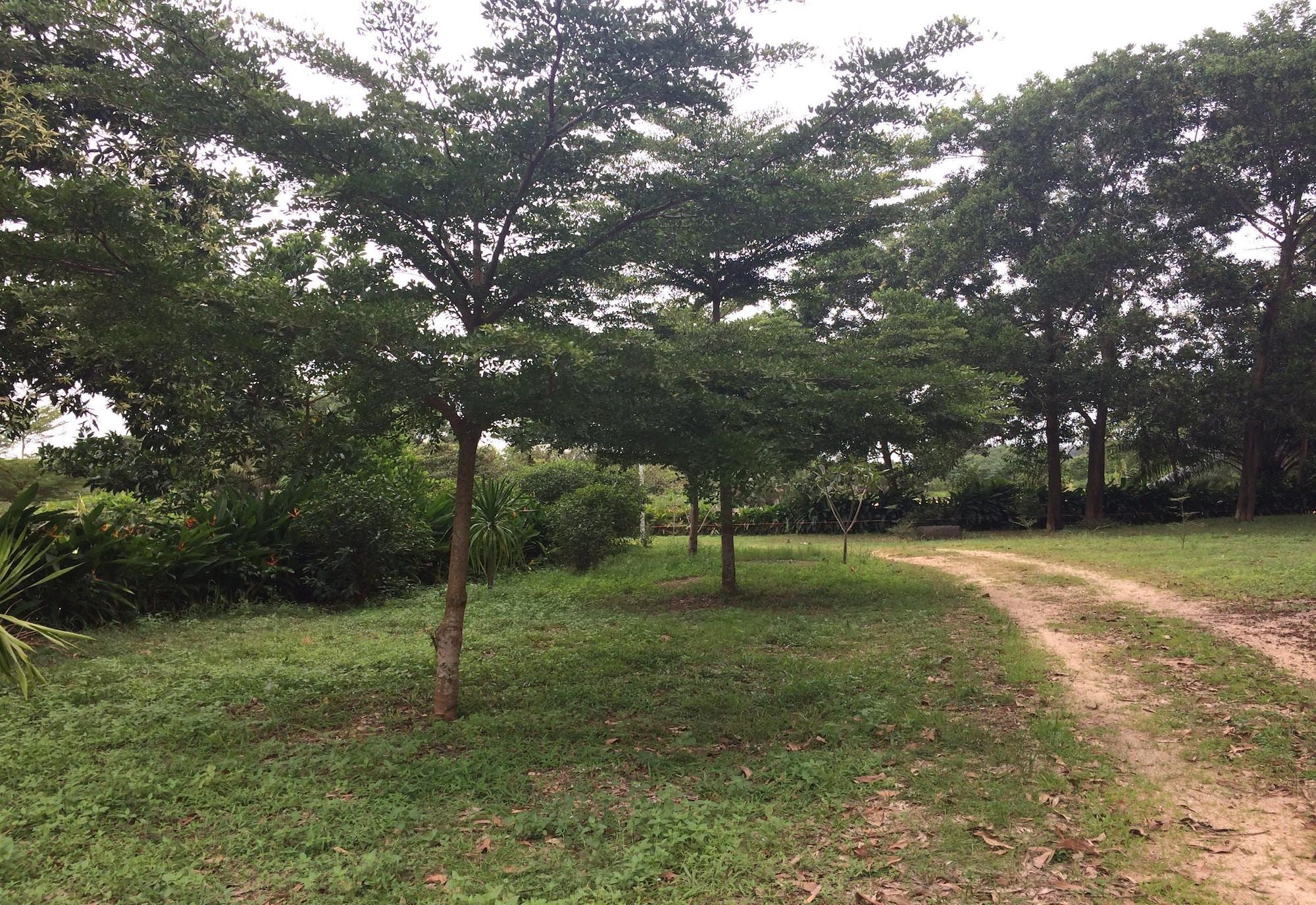 Water Palm Talat Yai