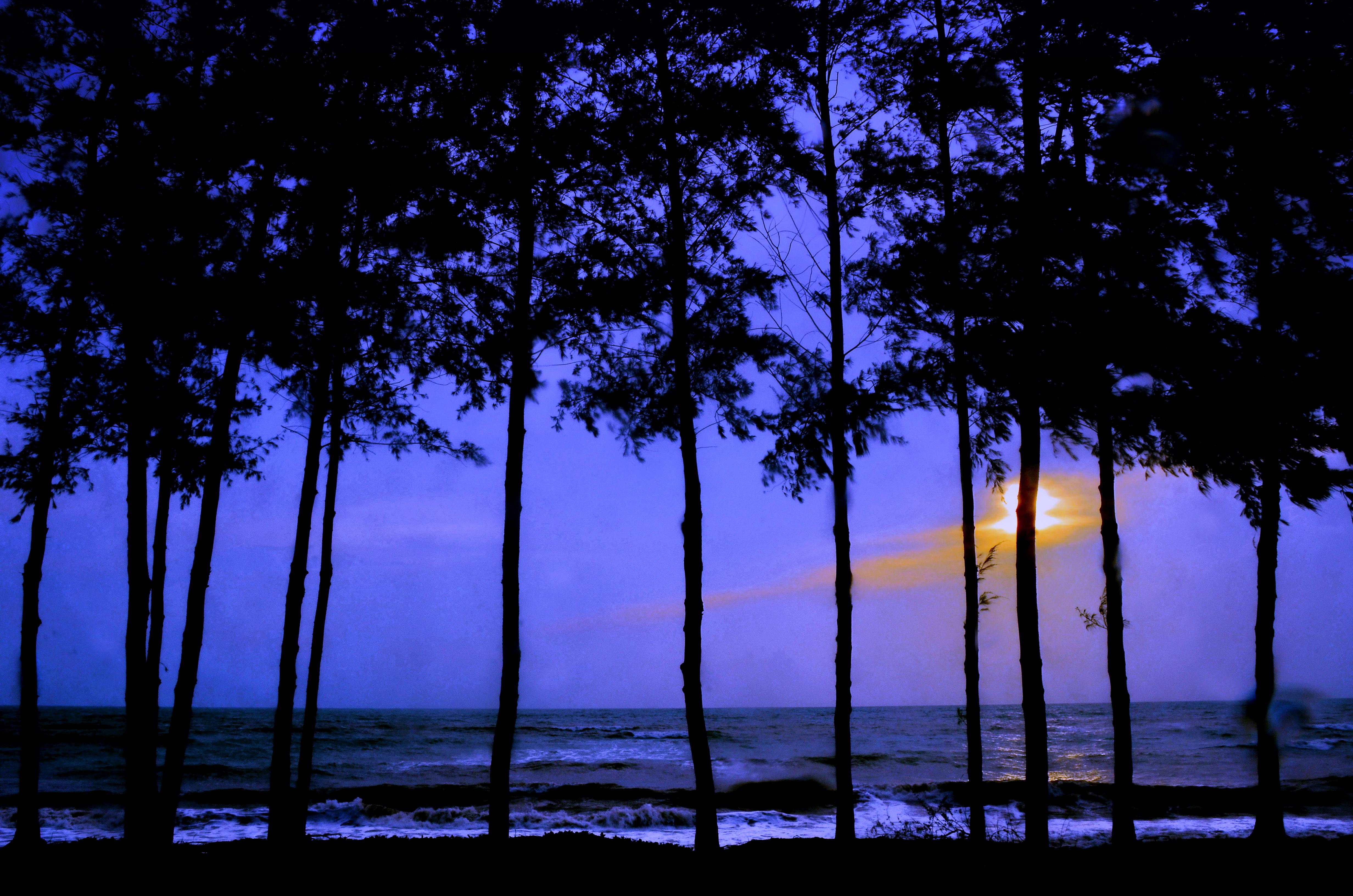 Resort Le Menara 5*