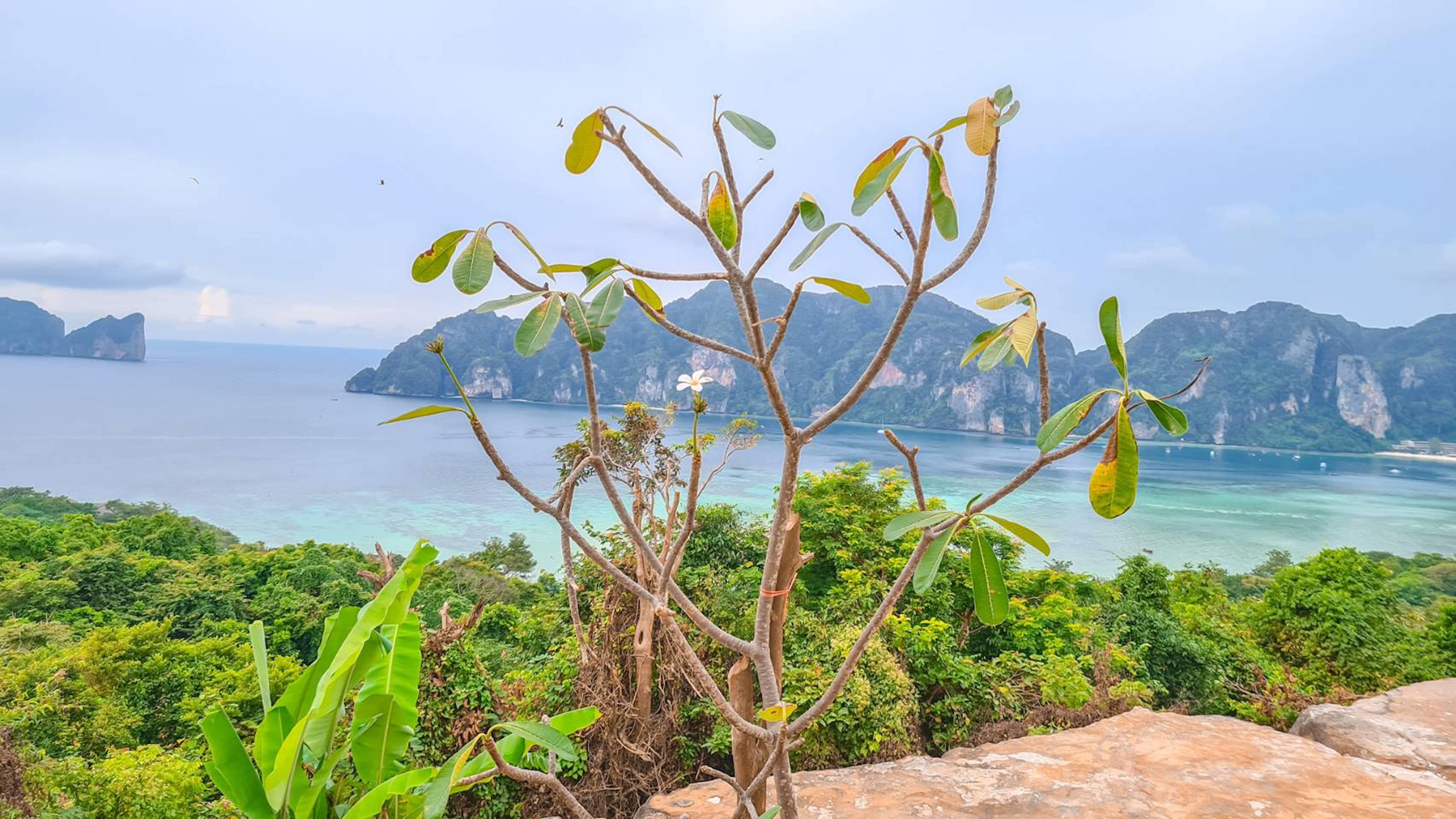 Mountain Sha Certified 4* Phi Phi Don