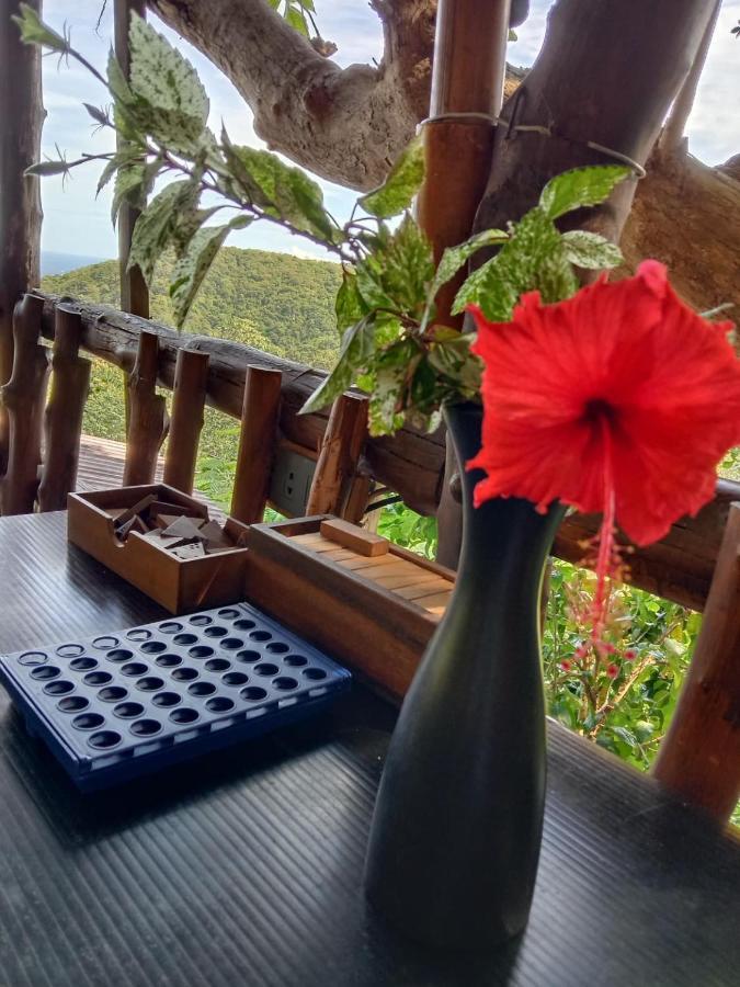 Tree House Hotel Koh Tao
