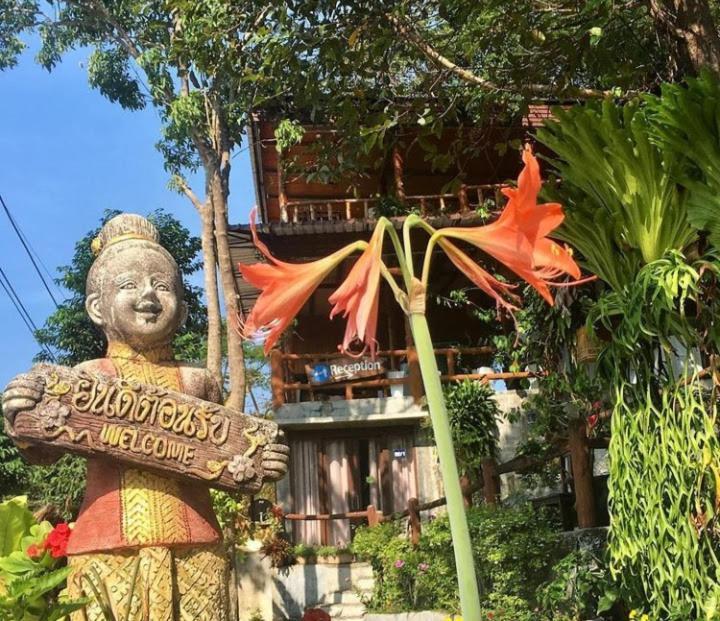 Hotel Tree House