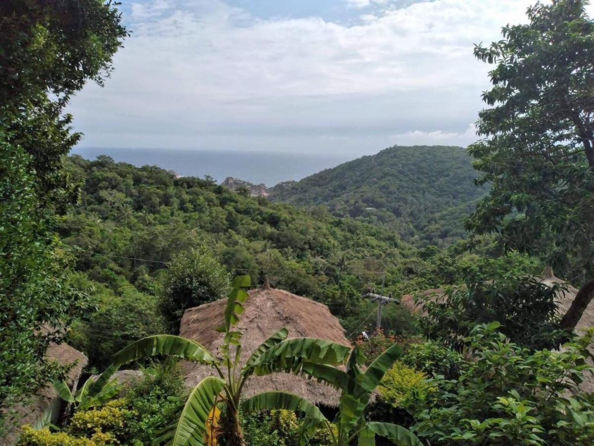 Tree House Koh Tao