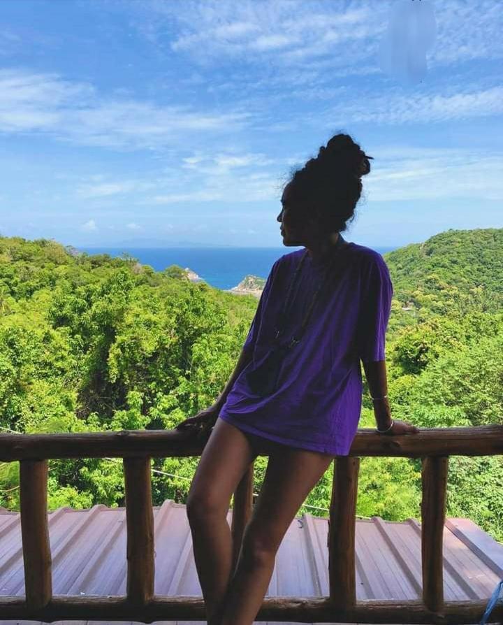 Hotel Tree House Koh Tao