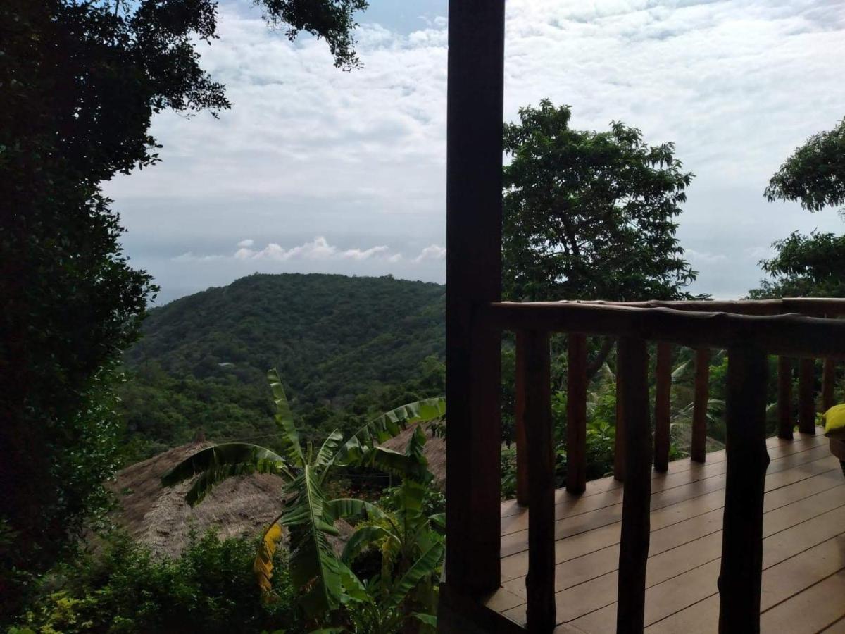Tree House