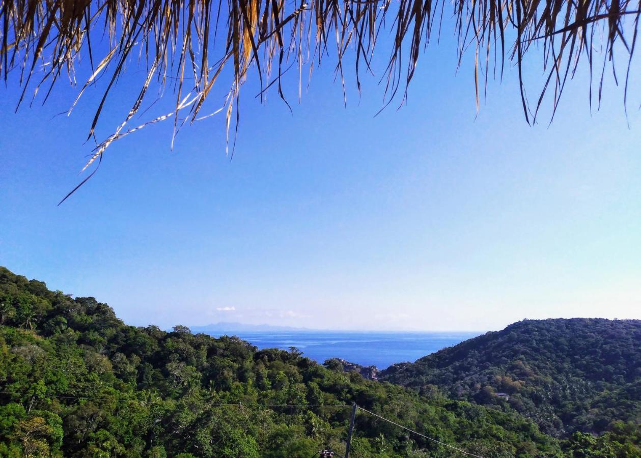 Hotel Tree House 3*