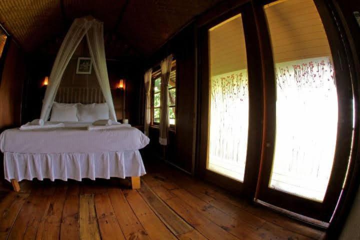 Tree House Koh Tao