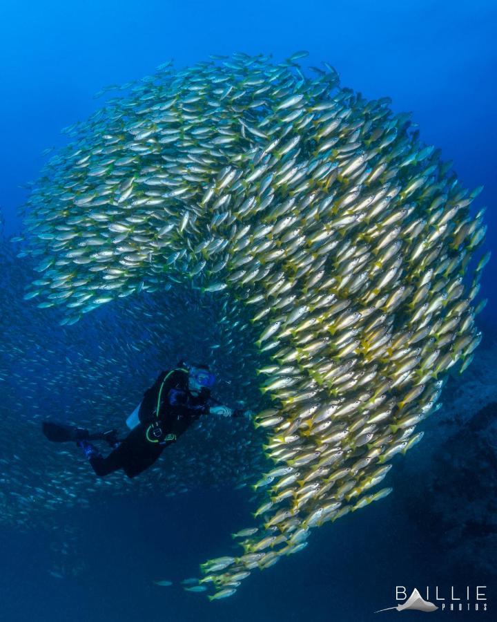 Hydronauts Diving - Koh Tao