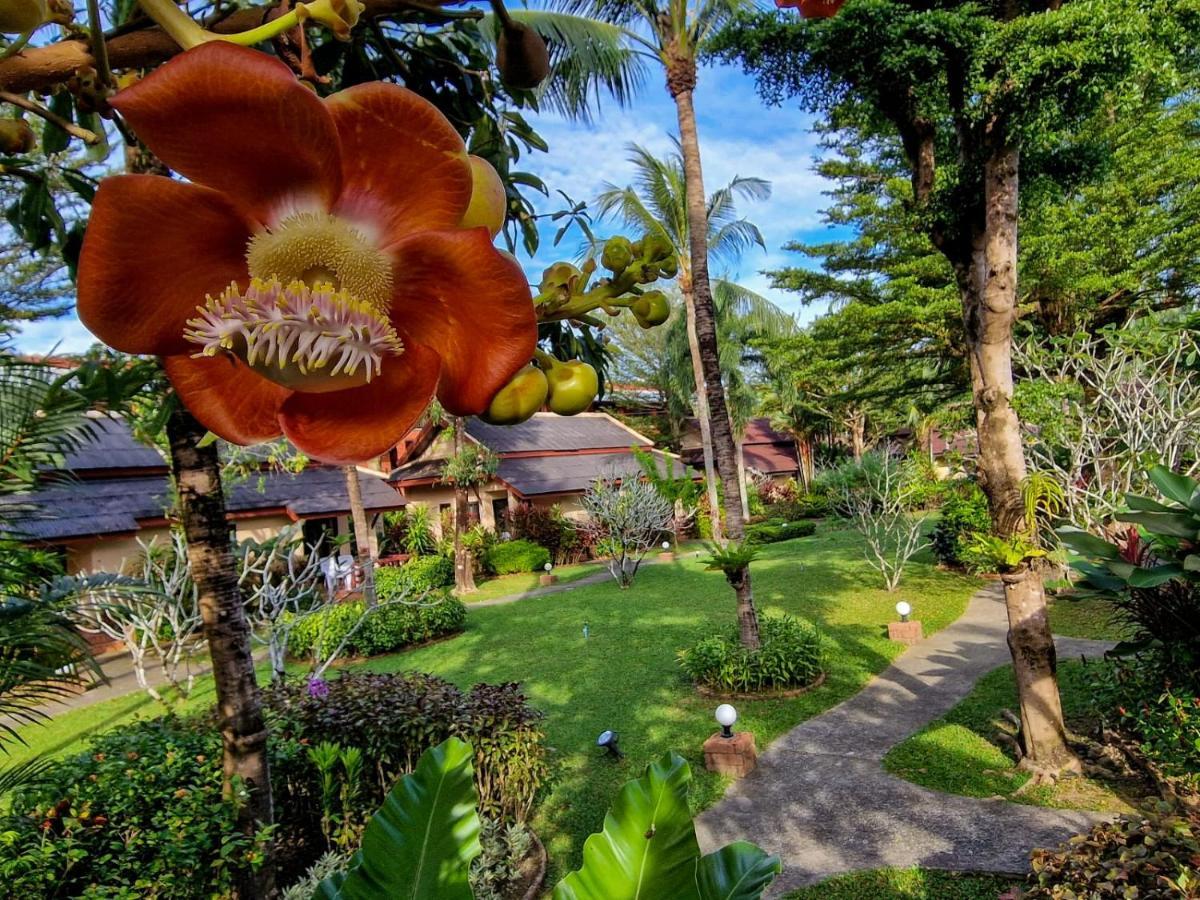 Jasmin - Sha Resort Khao Lak
