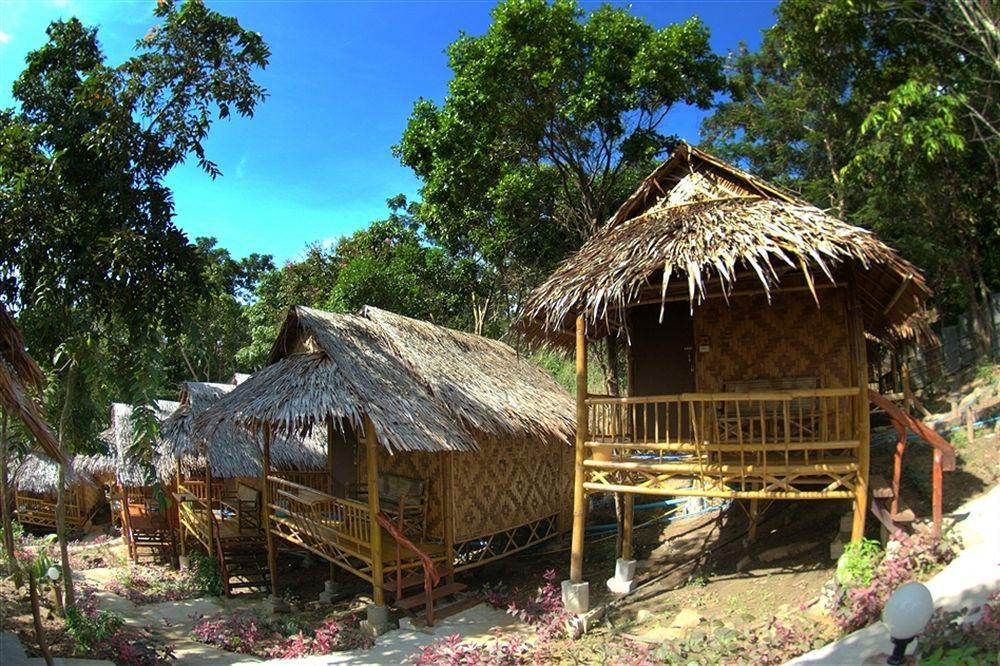 Resort Hill Bamboo
