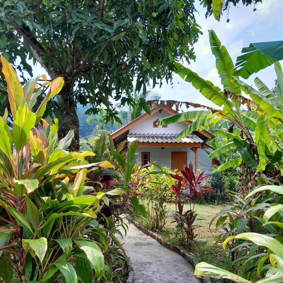 Hotel Khaolak Banana