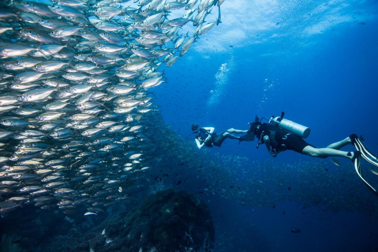Jamahkiri Dive & Resort Koh Tao