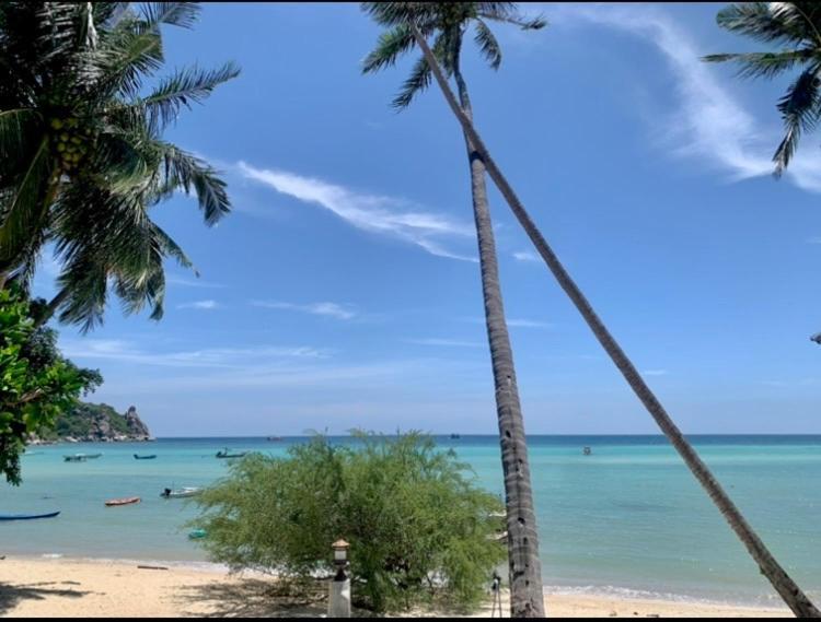 Tropicana 2*